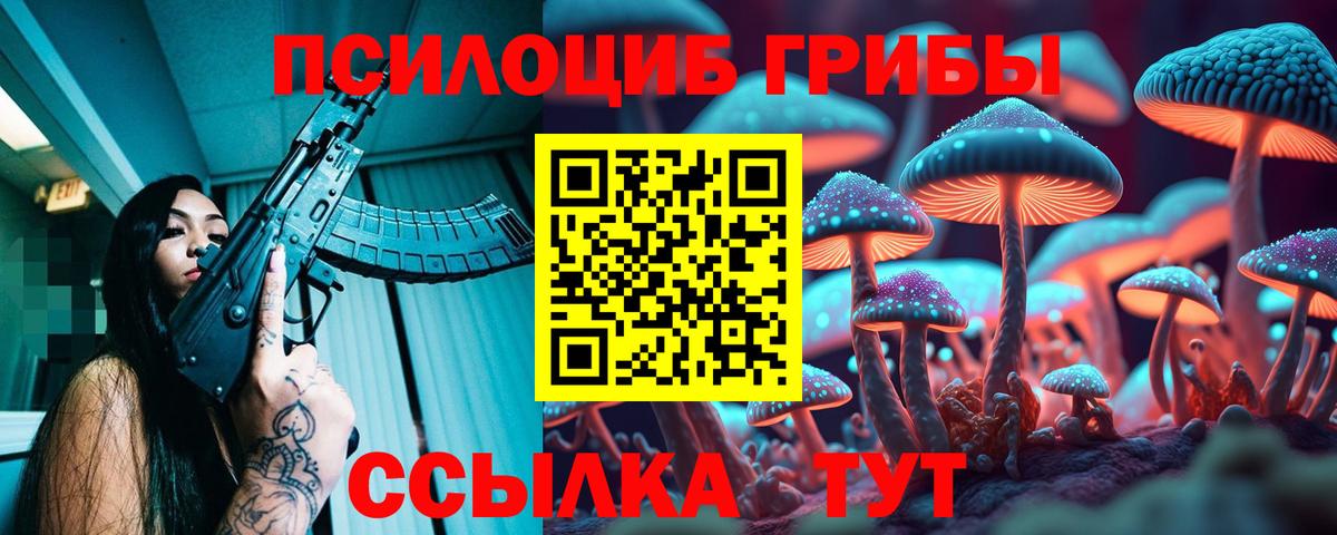Псилоцибиновые грибы мухоморы  Жигулёвск  Псилоцибиновые грибы Cubensis 