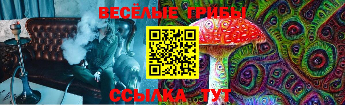 Псилоцибиновые грибы Psilocybine cubensis Жигулёвск