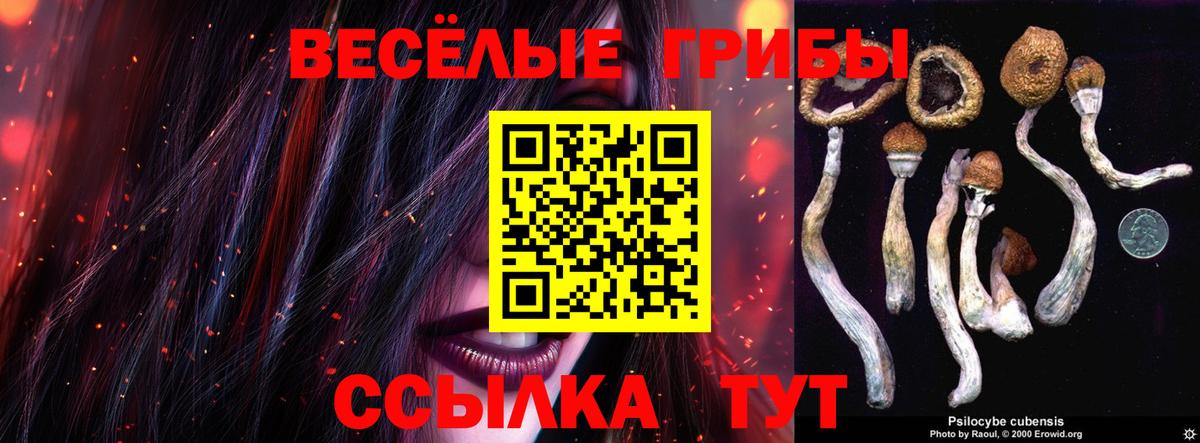 Галлюциногенные грибы GOLDEN TEACHER  наркошоп  Жигулёвск  Вход с VPN 